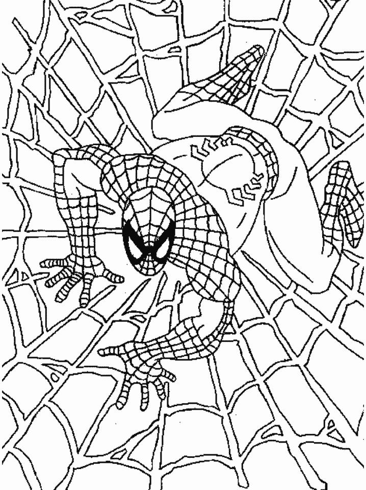 Spiderman 2 Imagine De Colorat Pentru Copii De Scos La Imprimanta Plansa Descarca
