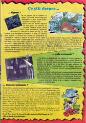 Mickey Mouse, Numarul 7, Anul 1996, pagina 19